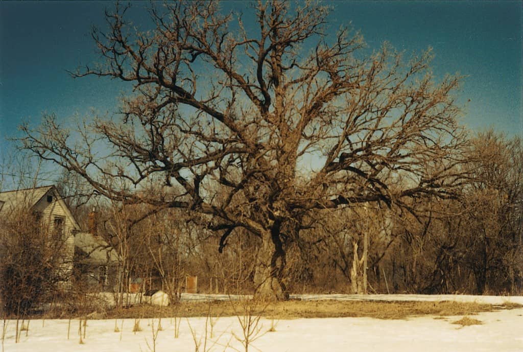 Atina and Martin Diffley's new home, 1991