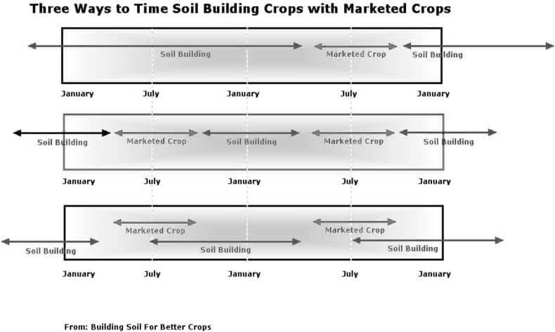 Three Ways to Time Soil Building Crops With Marketed Crops